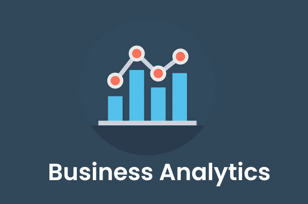 Business Analyst